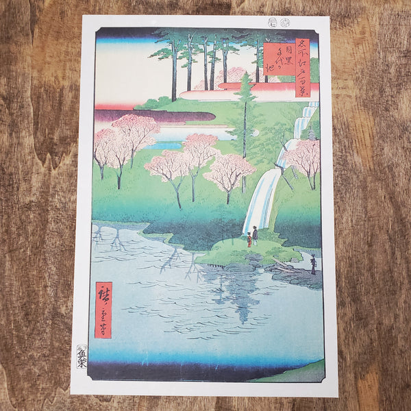 Reproduction print of Chiyogaike Pond in Meguro: Photo of a pond with cherry trees and bamboo in the background. 